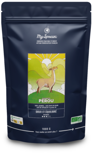 Café Bio Cenfrocafé APU du Pérou