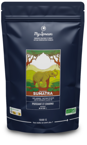 Café Bio Permata Gayo de Sumatra